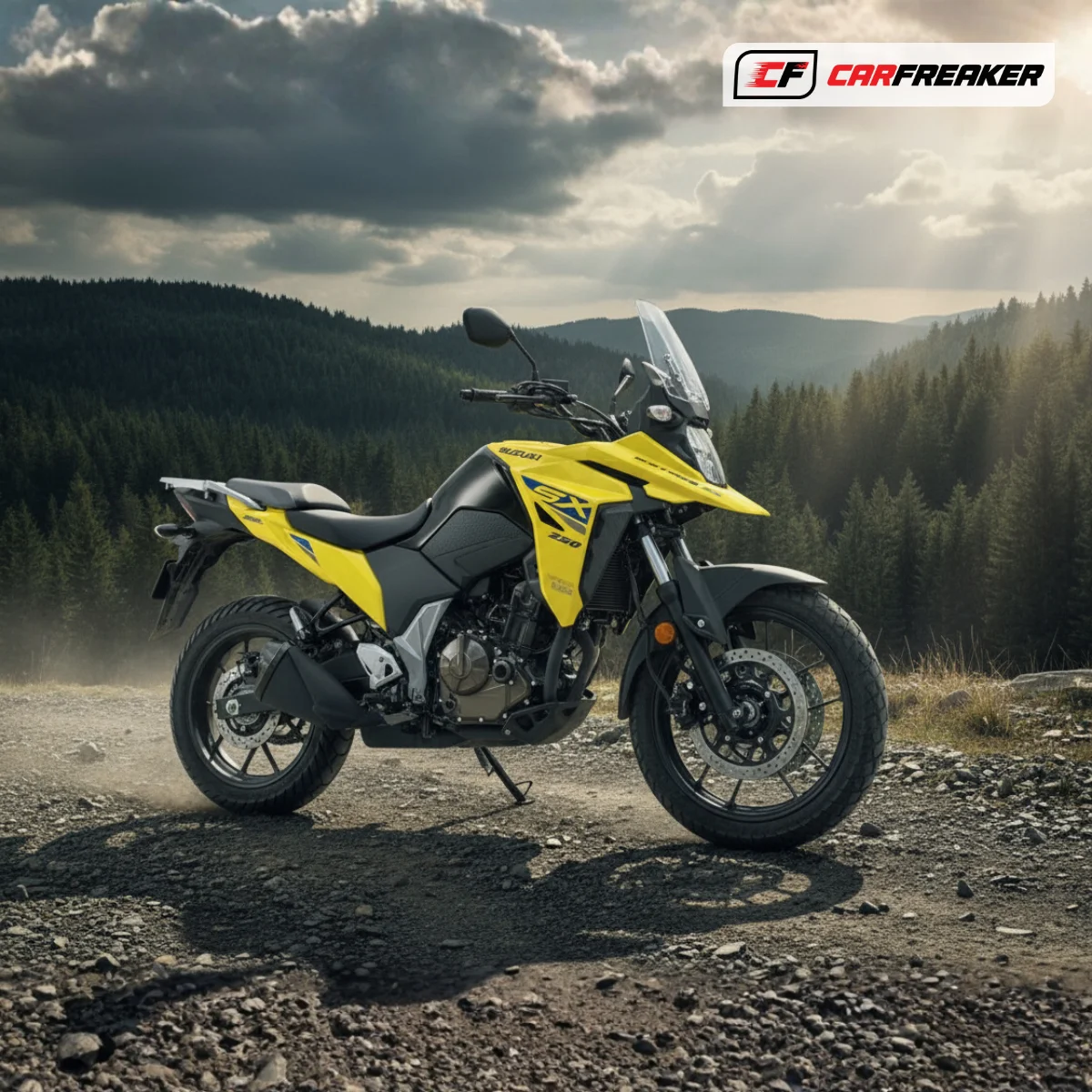 Suzuki V-Strom 250SX